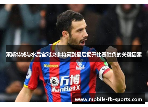 莱斯特城与水晶宫对决谁将笑到最后揭开比赛胜负的关键因素 莱斯特城与水晶宫对决谁将笑到最后揭开比赛胜负的关键因素